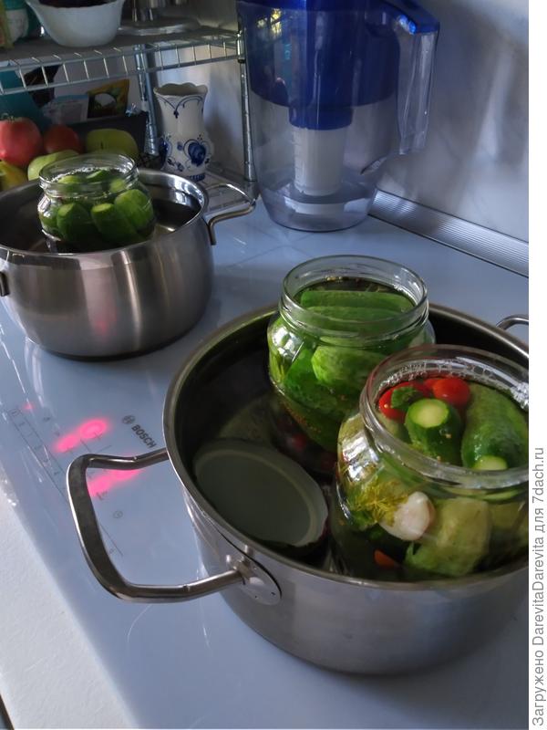 Томаты ушли в засол.