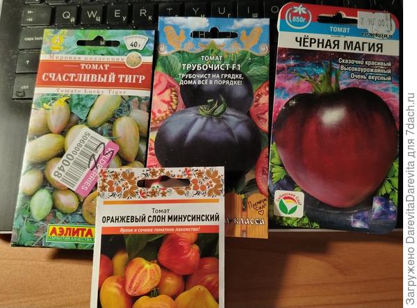 В полосочку, в крапинку, биколоры и антоциановые сорта. Которые кроме меня никто есть не будет.