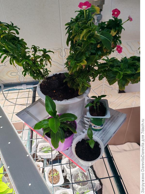 Два поколения в одном фото