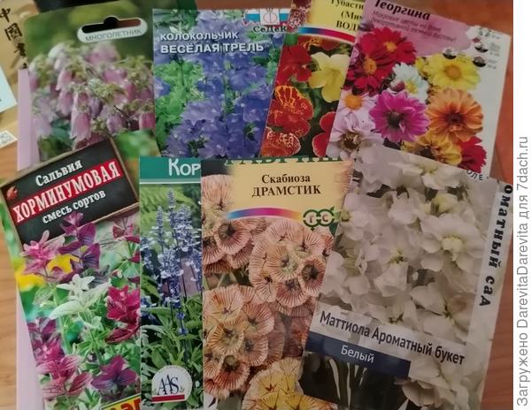 Прочие цветочные