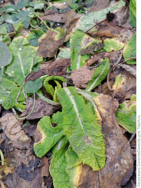 8 апреля, оттаяло