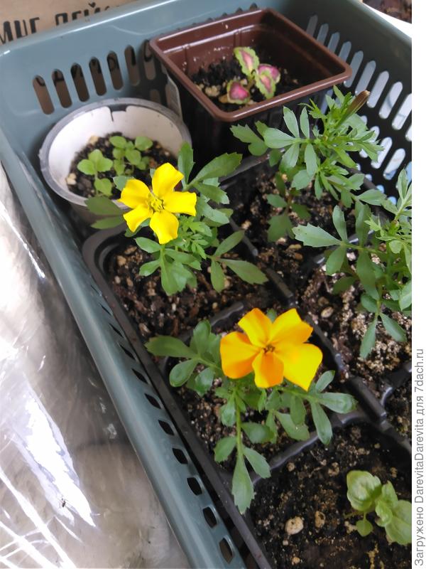 Тоже совсем маленькие герои