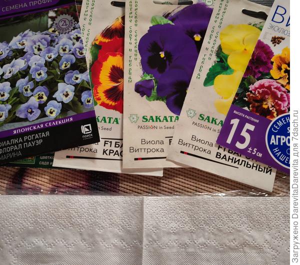 Виолы перед раскладкой в улитку