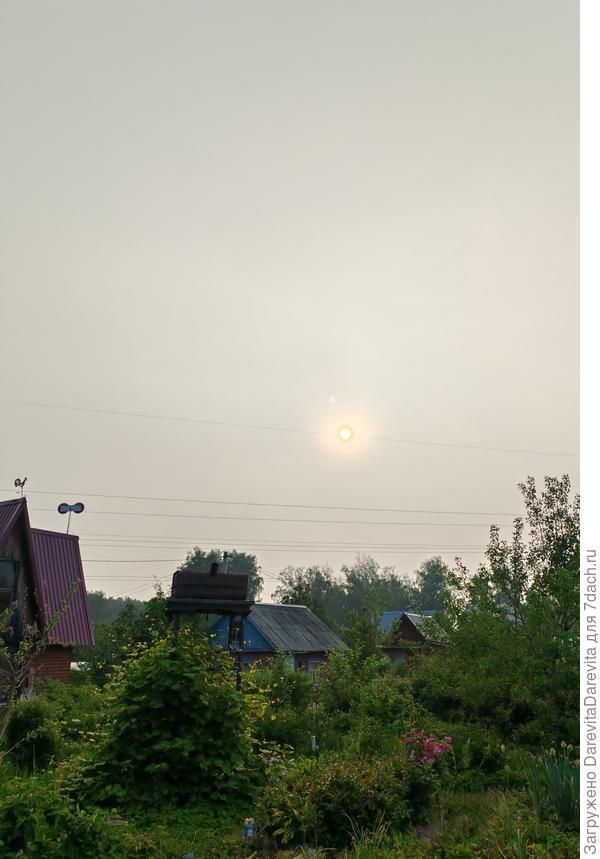 Знойная Сибирь