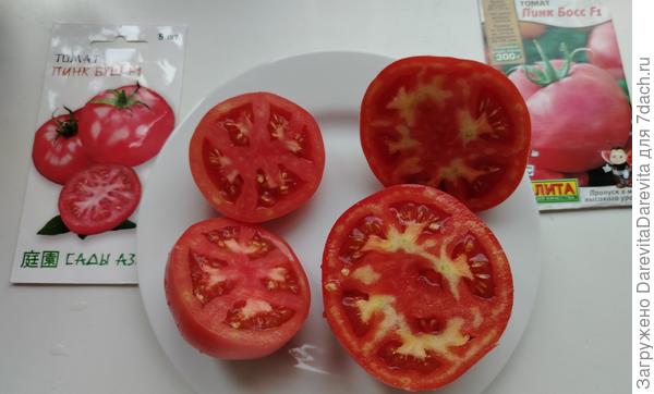 Томаты на разрезе. Пинк Босс попался не вкусный, хотя первые два помидора были отличными, с сахаристой розово-малиновой мякотью без жилок.