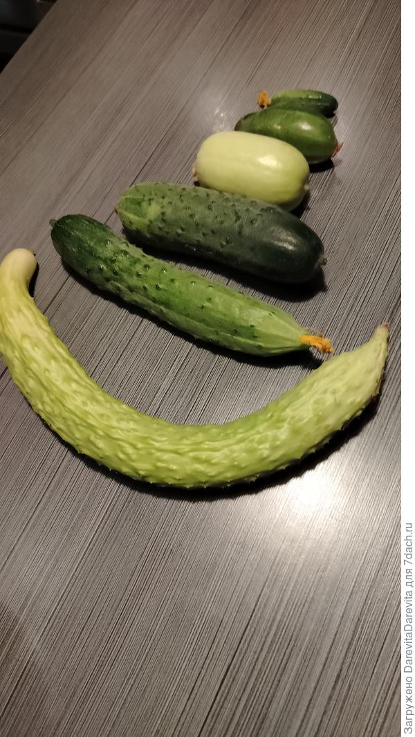 Весь ассортимент