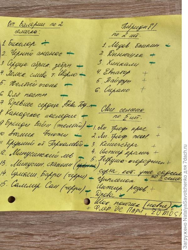 список сортов помидоров для посадки в сезоне 2025