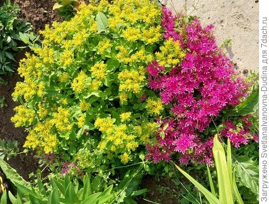 Вот так вот слились))