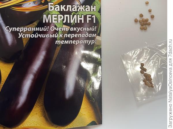 Баклажан Мерлин F1