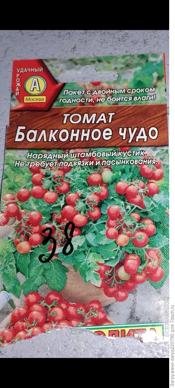 Можно ли посадить два балконных томата в одну емкость 10 л? - ответы  экспертов 7dach.ru