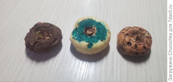 Донце белой луковицы