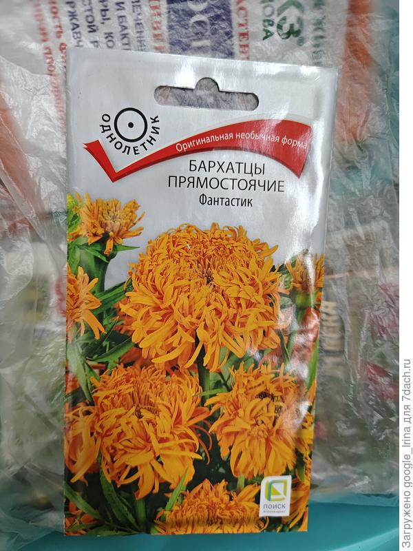 Семена от Поиск