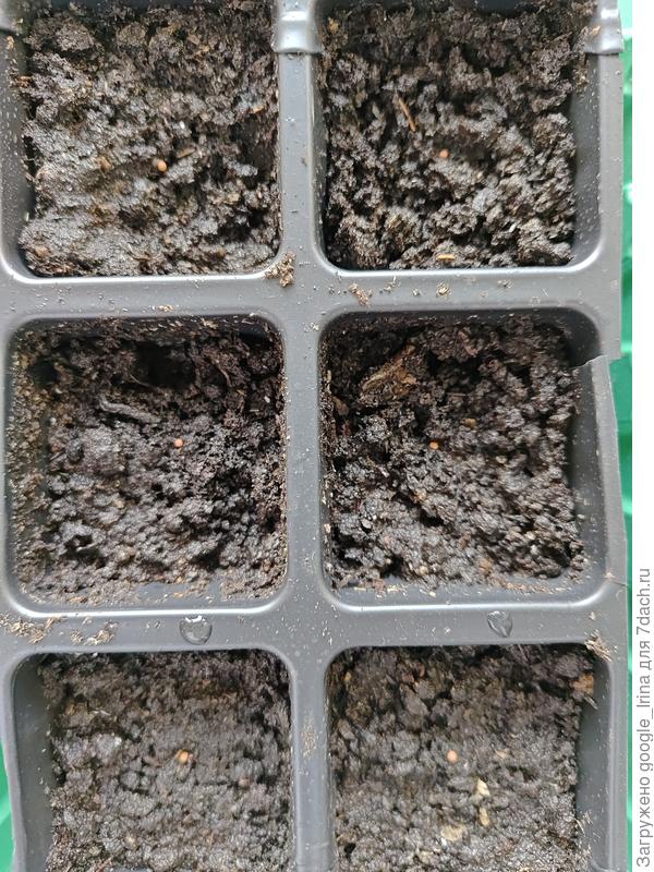 Кассета с семенами