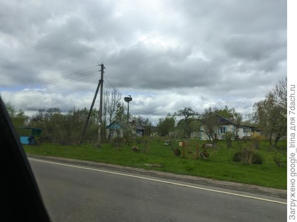 Аисты в гнездах сидят.