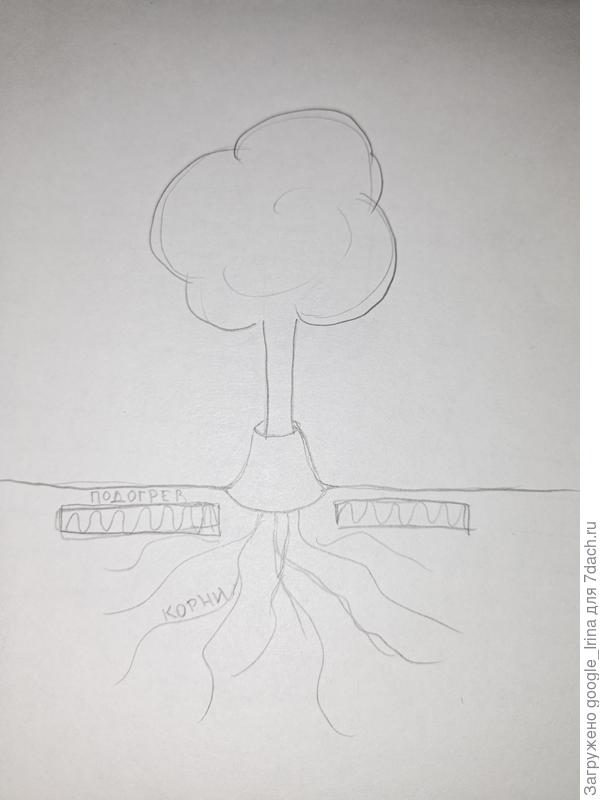 Вариант укрытия.