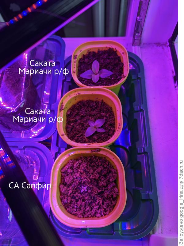 5 января 2026 год