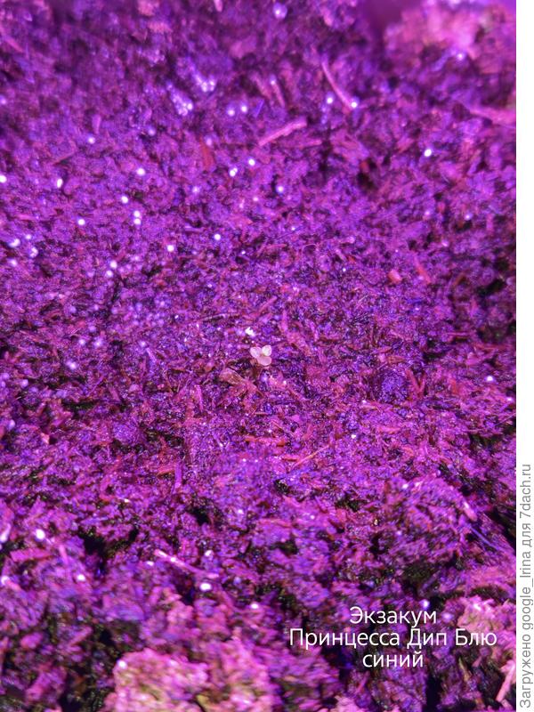 Совсем крошка