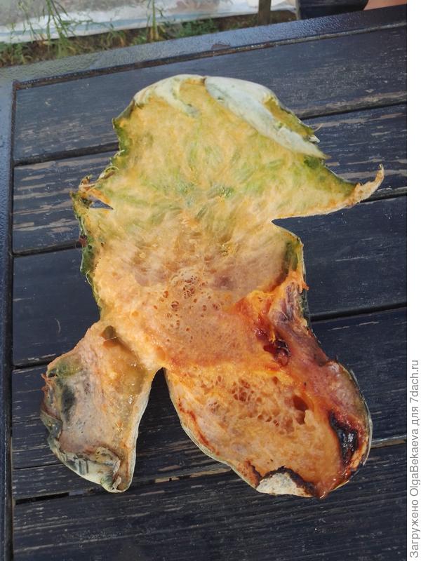 Шкурка дыни