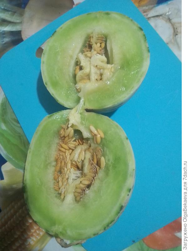 Дыня разрезаная