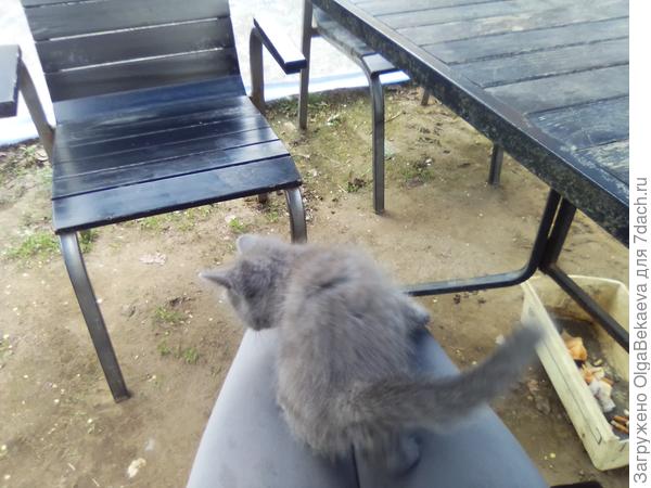 Уголок отдыха под тентом