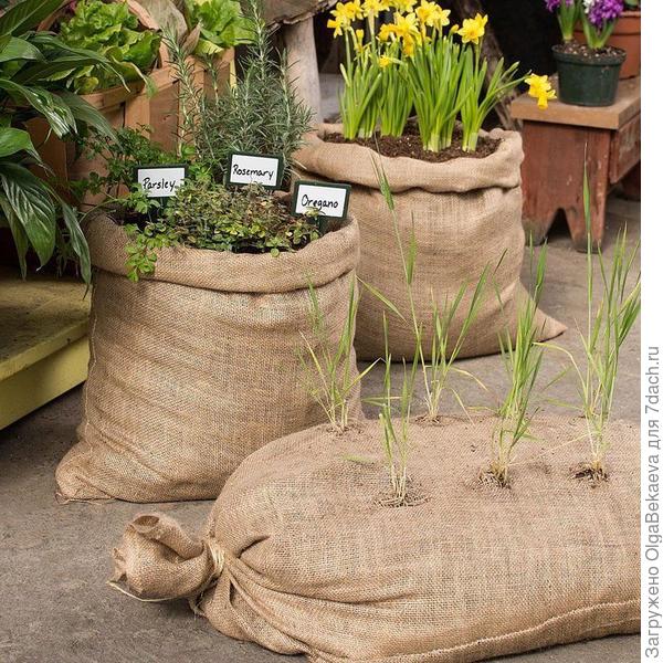 Фото с пинтереста