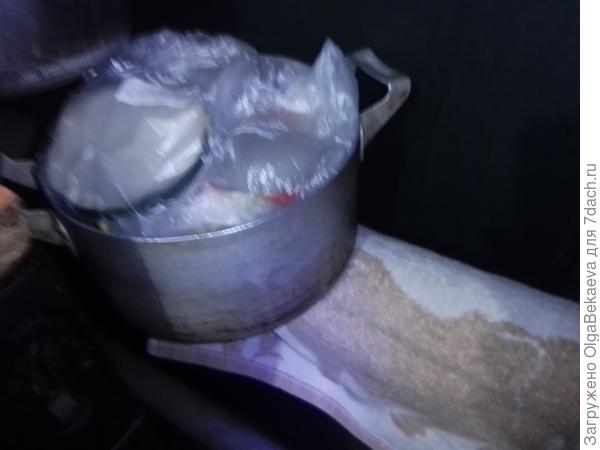 Семена на трубе отопления