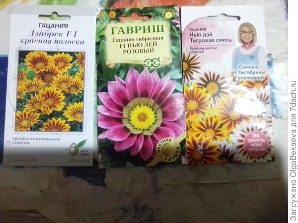 Семена гацаний