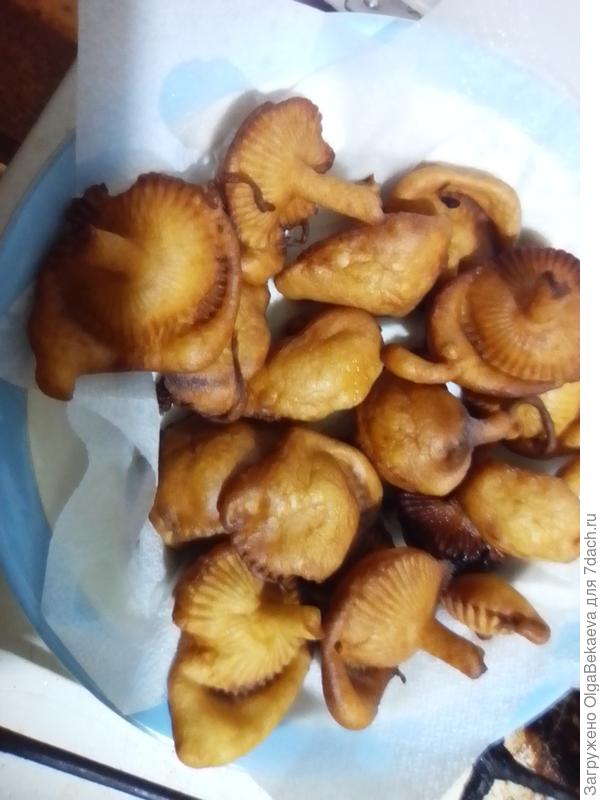 Хворост Грибочки