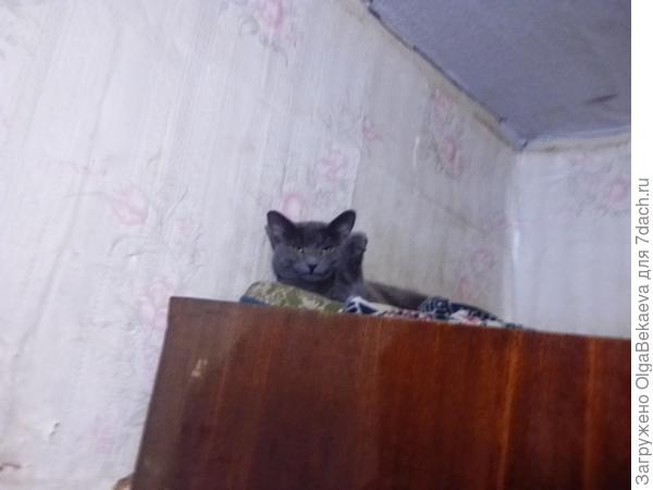 Чё вы подглядываете?