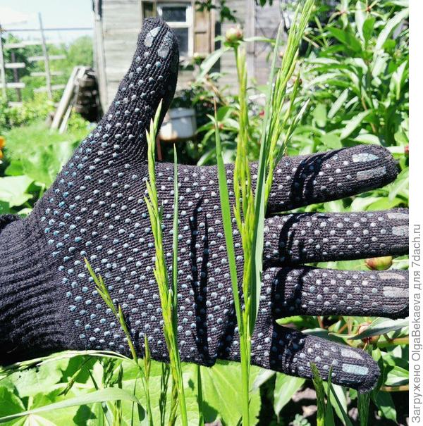 Что-то злаковое