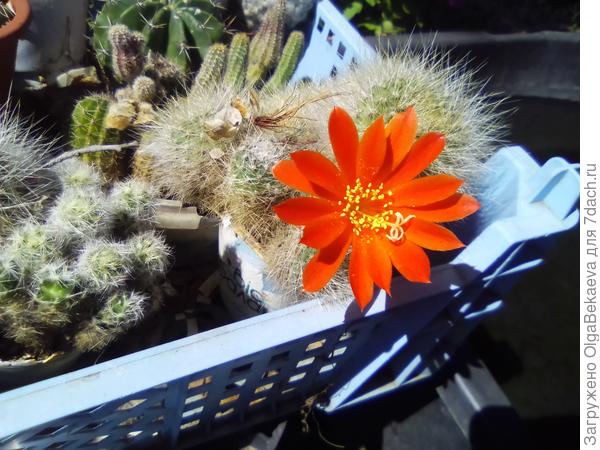 Кому-то хорошо