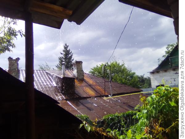 Слепой дождик