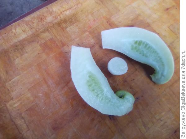 Белый дракон F1 в разрезе.