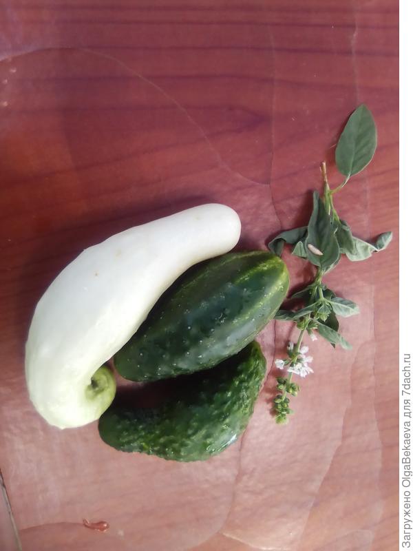 Вчерашний урожай