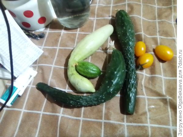 Он посередине