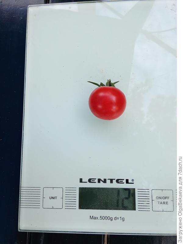 Одна красная