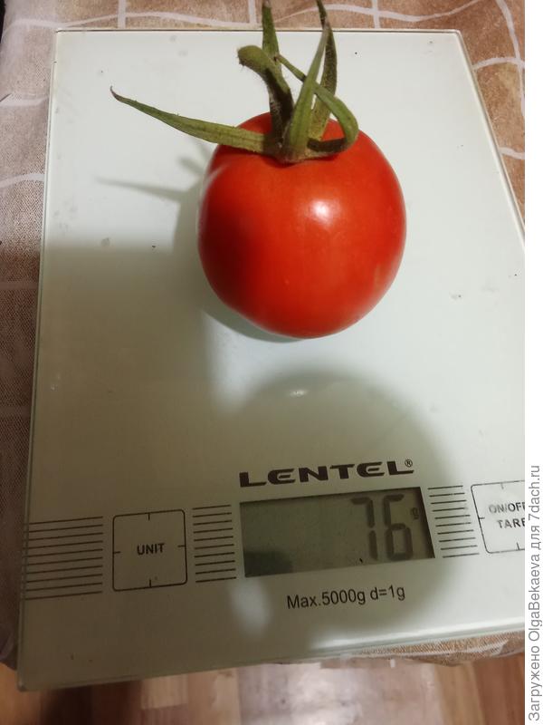 Богатырь не очень богатырский