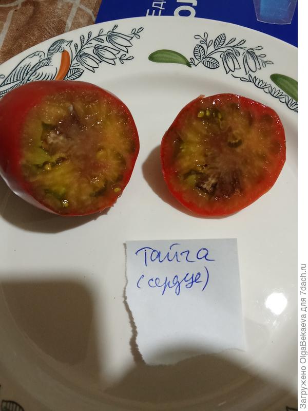 Тайга в разрезе.