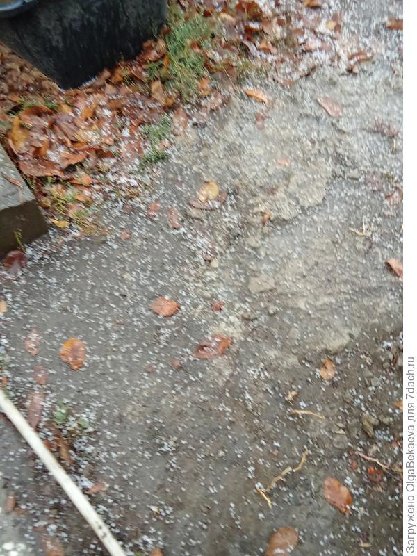 Осенний град