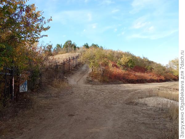 Тропа в парк