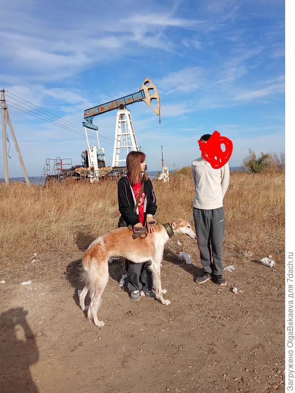 Нефтяная качалка. Давно уже перестала работать.