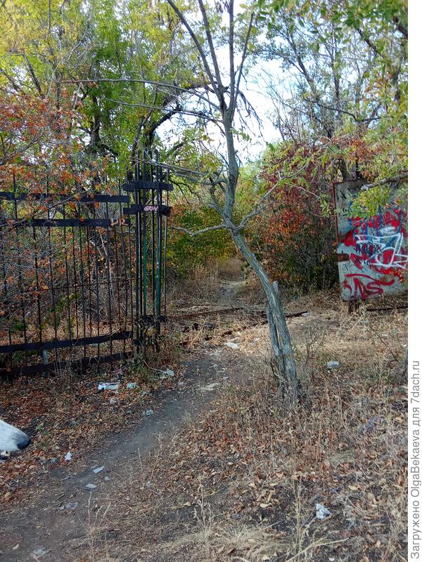 Закрытая территория с заброшенными строениями. Забор регулярно чинят, а кто-то делает дырки. Тут вообще снесли ворота.