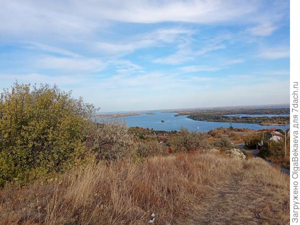 Ковыль уже высох и выглядит соломой.