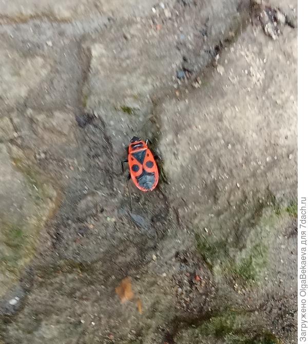 Сфоткала прямо сейчас, 22 ноября