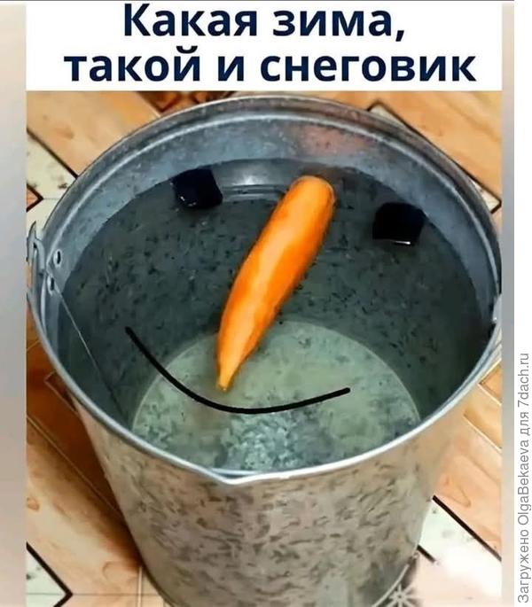 Такой и снеговик