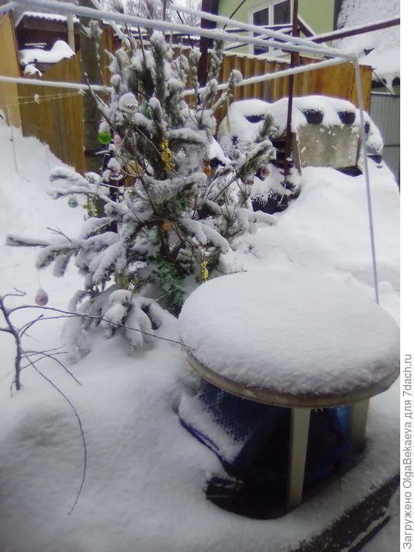 5 января. Снегопад.