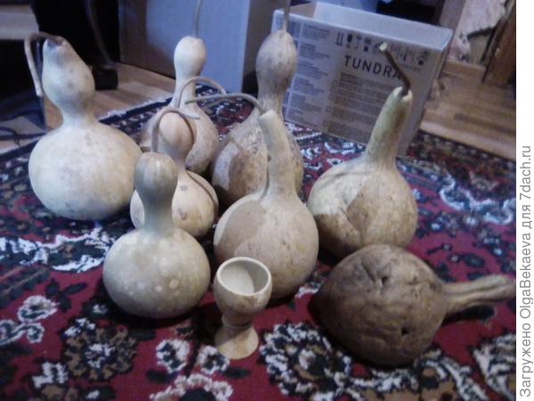 Высушенные лагенарии