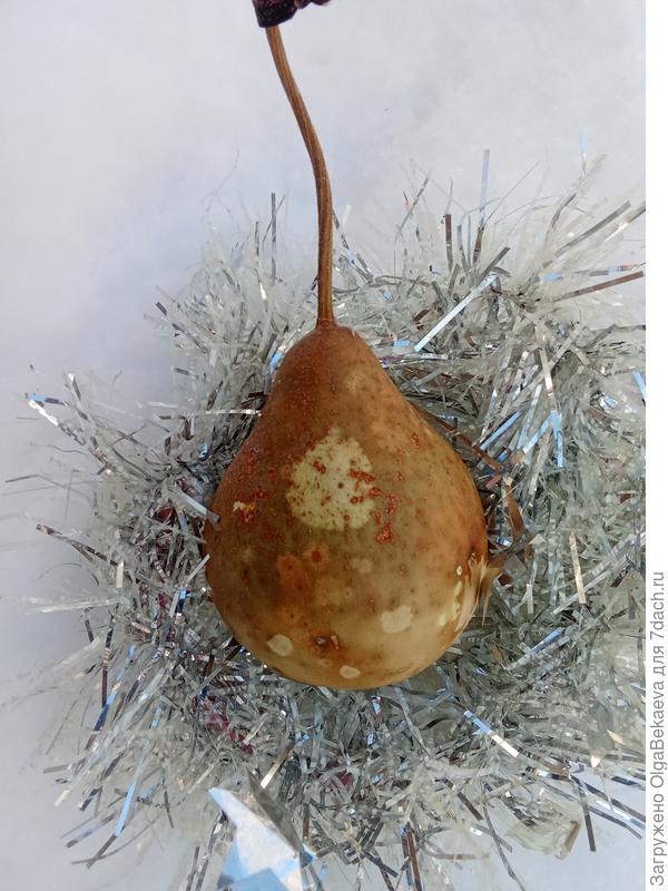 В этом году такая же.