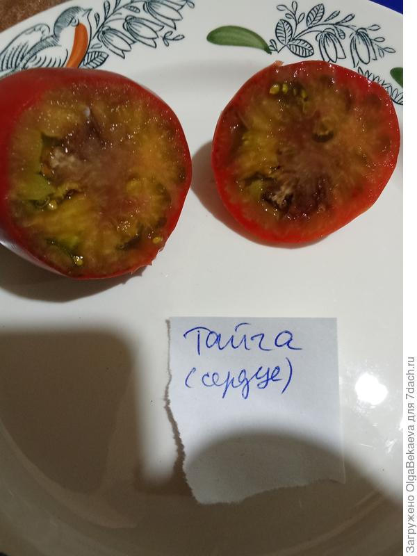 Тайга в форме сердца