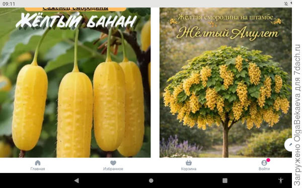 "Смородина" с Озона